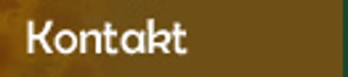 Kontakt
